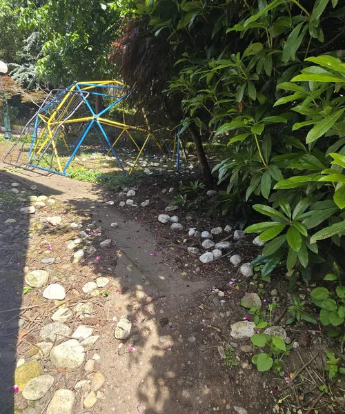 Patio renovation  in Shoreline 